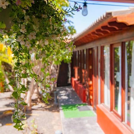 El Rincon Del Huroncillo Tejina Ngoại thất bức ảnh